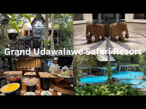 Grand Udawalawe Safari Resort🇱🇰#travel #srilanka #nature  #naturelovers #hotelreview
