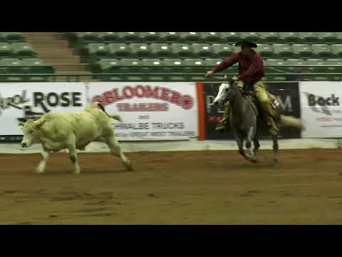 Dualin Stargun ridden by Justin E. Lawrence  - 2014 NRCHA SBF (Cow Work (Prelims) - Open)