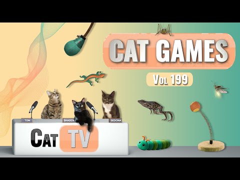 Katzenspiele | Ultimative Katzen-TV-Compilation Vol. 199 | 8 STUNDEN 🐝🐞🦋🦎🦜🐜🐭🧵