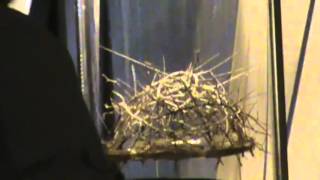 Jesus and the crown of thorns