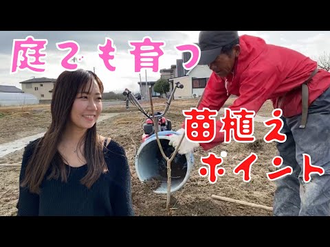 木を植えるにはどうすればいいですか？そこに到達するために従うべき5つの簡単なステップ!  庭園