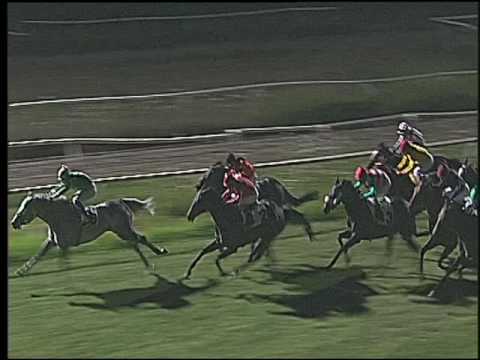 Galoppo 16/07/2016 - 5° corsa