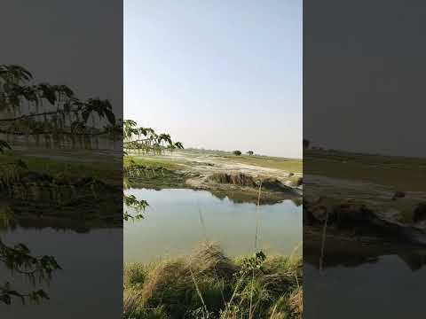The Beautiful 4K CAM scenery of Holy River "Sarayu". #natural #river #shorts