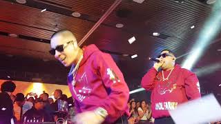 Baby rasta y Gringo Amor prohibido 2019 live