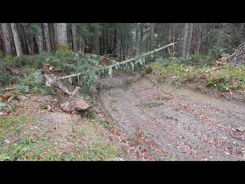 Rumunsko Perla Padurii 19