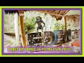 EL EDEN MISMALOYA DEPREDADOR PREDATOR FILM VALLARTA EDENVA VALLARTA ADVENTURES SCHWARZENEGGER