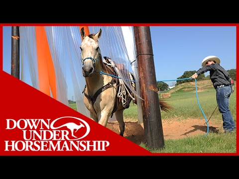 Clinton Anderson: A Day in the Life of an Ambassador Student, Part 1 - Downunder Horsemanship