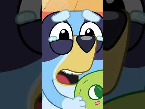 Serious please face 💙 #shorts  | Bluey