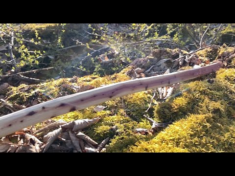 Juniper Survival Bow