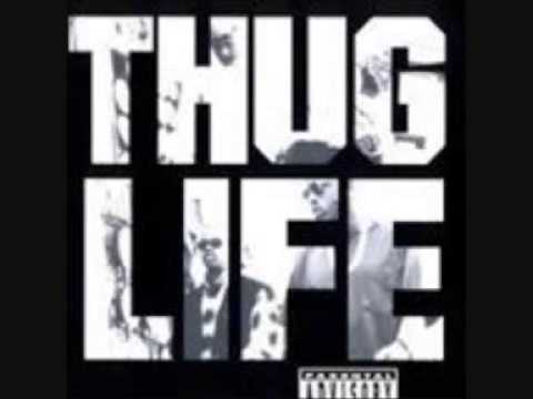 OUSSAMA EDDIN -- MAGHREB UNITED