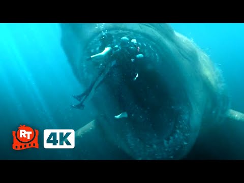The Meg (2018) 4K - Shark Cage vs. Megalodon Scene | Movieclips