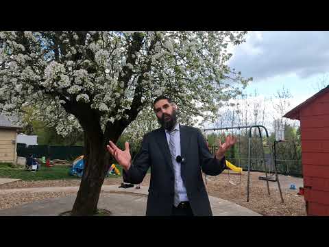 Rabbi Motti's Minute - Why Are There So Many Mitzvot?