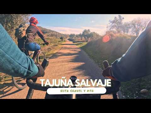 Vía verde del Tajuña Salvaje en gravel hasta el Pozo de Almogera