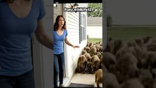 100 Monkeys at Her Door?! 😱
