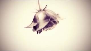 Download lagu Feryquitous【senzai】Dstorv/掻き乱す/擾亂 造語/日本語/中文翻譯CC字幕 mp3