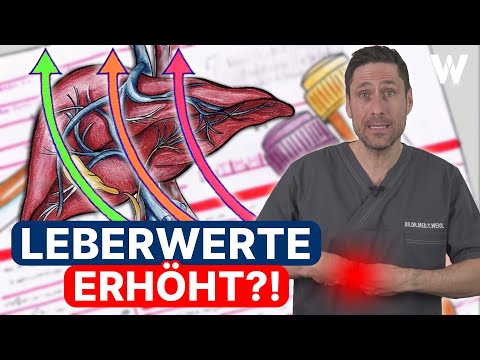Erhöhte Leberwerte: Was sagen sie wirklich aus? Blutwerte und häufige Lebererkrankungen erklärt
