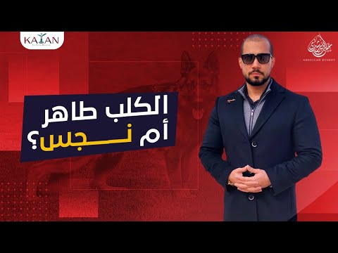 الكلب طاهر أم نجس