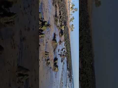 Lanzarote beach Feb 2022