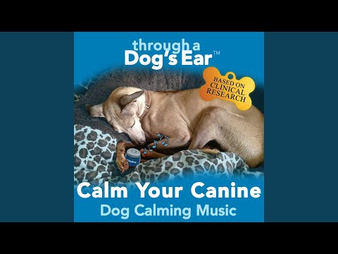 The Well-Tempered Clavier, Book 1: Prelude No. 1 in C Major, BWV 846