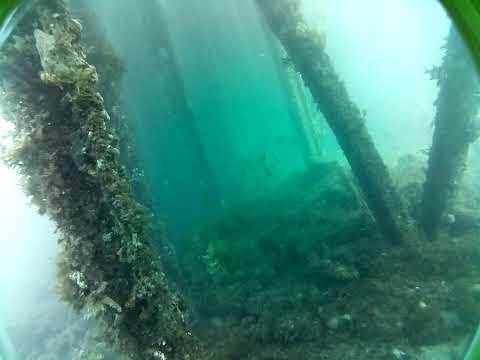 Rapid Bay Live by AusOcean 31/01/2023