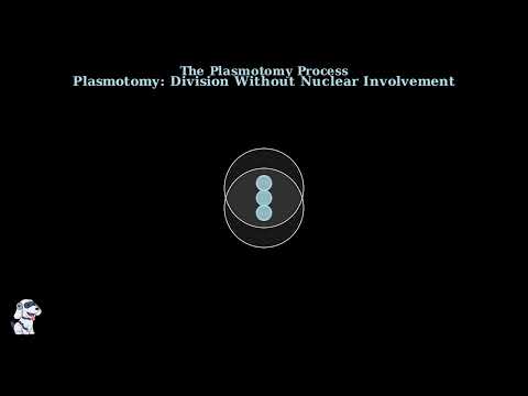 Reproduction in Proto­zoa – Sexual reproduction, Asexual reproduction - Video
