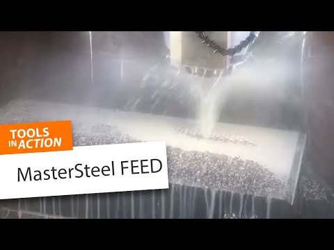 GARANT MasterSteel FEED in 21MnCr5 - Hoffmann Group