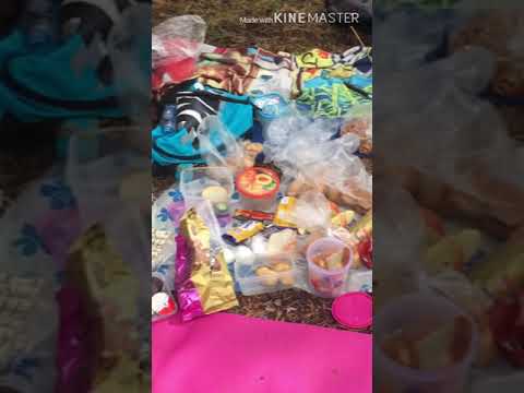 На природе с классом.