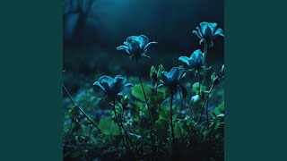 dead flowers