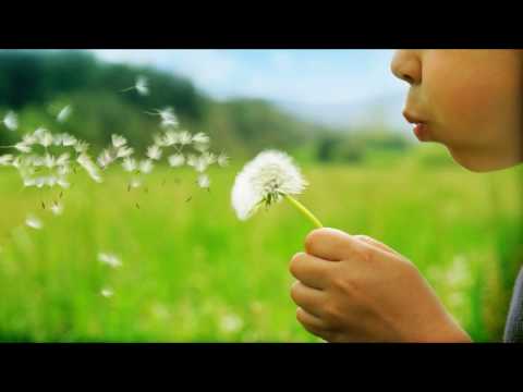 Emotional Horizons - Lush (Flawless Falling) (Original Mix)