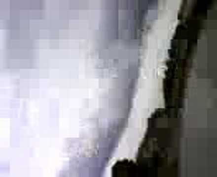 DONNE MOI TON CARNET