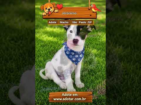 Vídeo de Jerônimo 