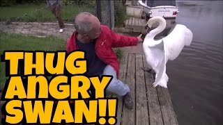 THUG ANGRY SWAN!! ||| Hood Animal Voice Over