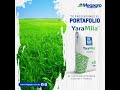 Fertilizantes Yara Mila Fertilizantes Complejos NPK Megagro
