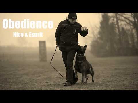 ESPRIT Levemar obedience