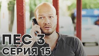 Сериал ПЕС - все серии - 3 сезон - 15 серия - смотреть онлайн
