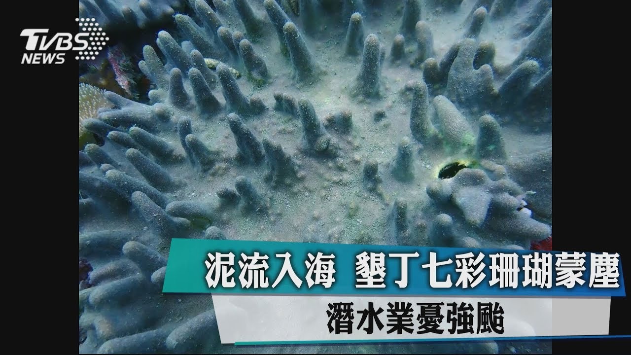 泥流入海!墾丁七彩珊瑚蒙塵 潛水業憂強颱