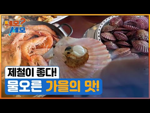 [네모세모] 가을별미 꽃게와 새우 ‘맛 대 맛’