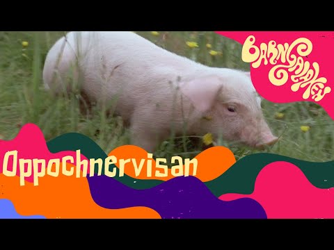 Oppochnervisan - Emil i Lönneberga - Officiell musikvideo!