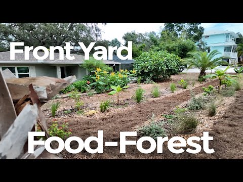 They Wanted a Food Forest in The Front Yard!