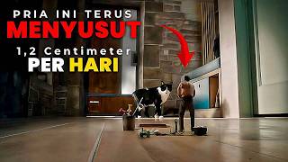 Download lagu A RARE PHENOMENON THAT MAKES A MAN'S LIFE MEANINGFUL ‼️ mp3 Download lagu A RARE PHENOMENON THAT MAKES A MAN'S LIFE MEANINGFUL ‼️ mp3