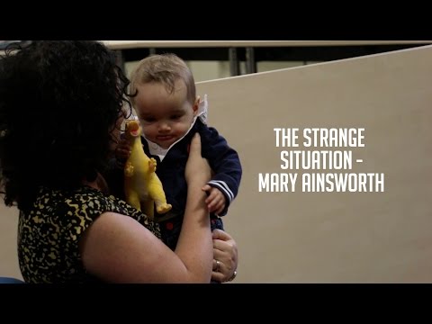 The Strange Situation｜Mary Ainsworth