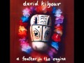 David Kilgour - All The Rest
