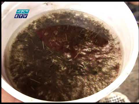 এডিস মশা নিধনে তৎপরতা বেড়েছে দুই সিটি করপোরেশনে