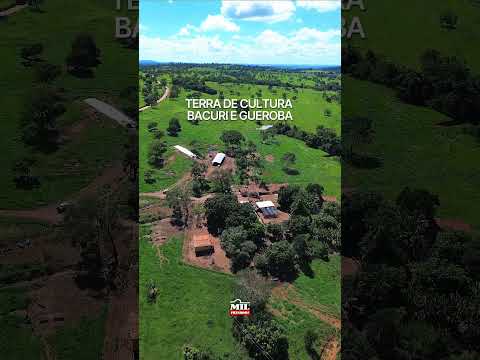 CHÁCARA À VENDA – CROMÍNIA/GO 🚨OPORTUNIDADE REAL – NEGÓCIO RÁPIDO #agro #chacaraavenda