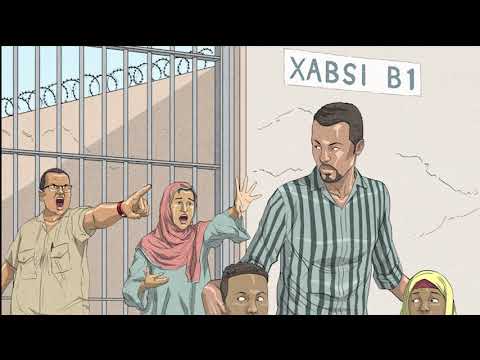 KUCELISKA TRAILERKA SNS4