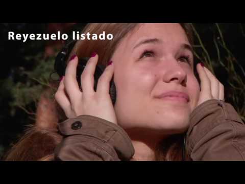 Compañeros Nueva edición - Unidad "Biografías" - El sonido de la naturaleza – subtitulado