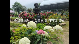 주인의 심고 가꾼 수십만 송이의 꽃으로 이루어진 우아한 정원