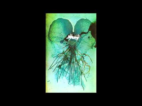 Kasi - Nosta sun pää part 2 feat. Iwere