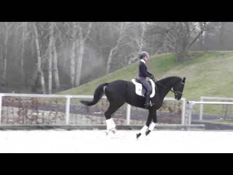 Milano v. Millennium - Denekas geb. 2012 Wallach