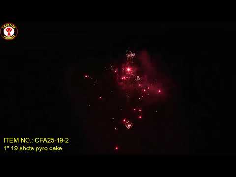 CFA25-19-2 1'' 19 shots multishots 500g fireworks cake